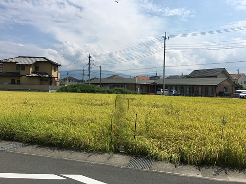 201609tanbofuji (2).JPG