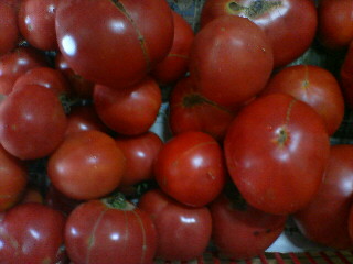 tomato20100730kago.jpg